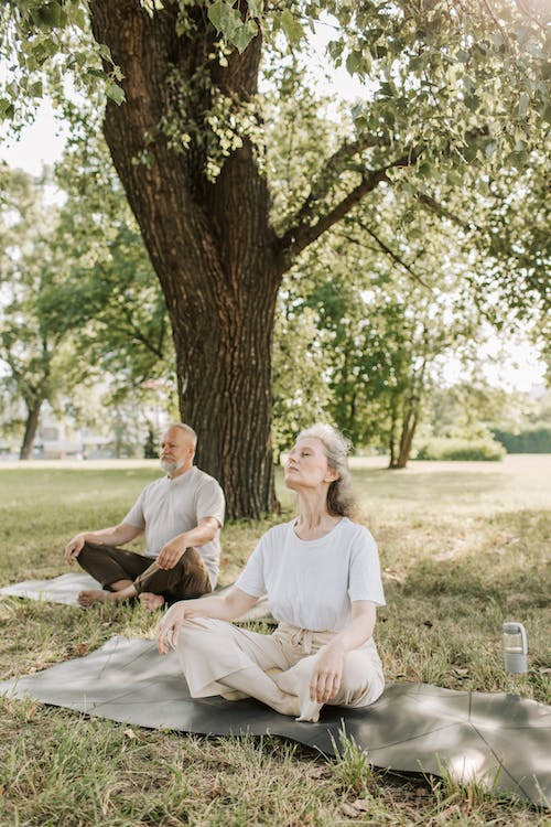 A pair of seniors meditating in a park