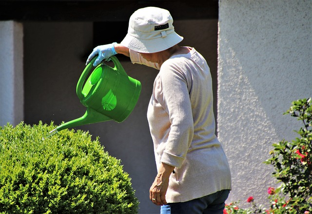 A senior watering plants with a watering can