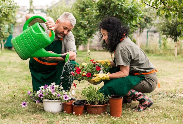 A senior couple carefully watering vibrant flowers